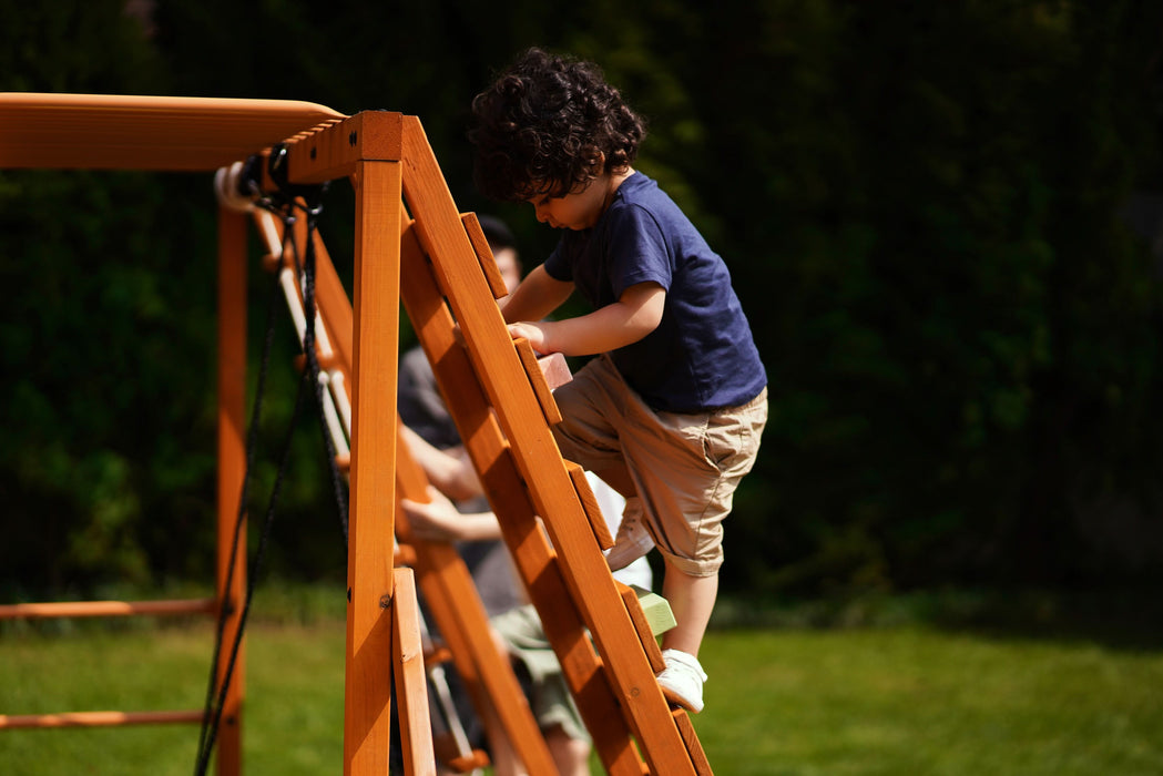 Avenlur Sycamore - Backyard Ultimate Climbing Set with 2 Swings And Trapeze Bar