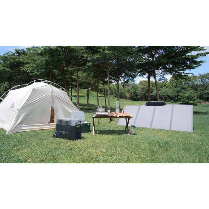 EcoFlow DELTA Pro Solar Generator and 220W Foldable Solar Panel