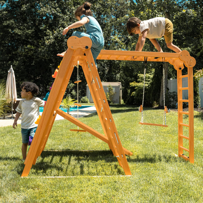 Avenlur Chestnut - 8-in-1 Indoor Jungle Gym for Toddlers