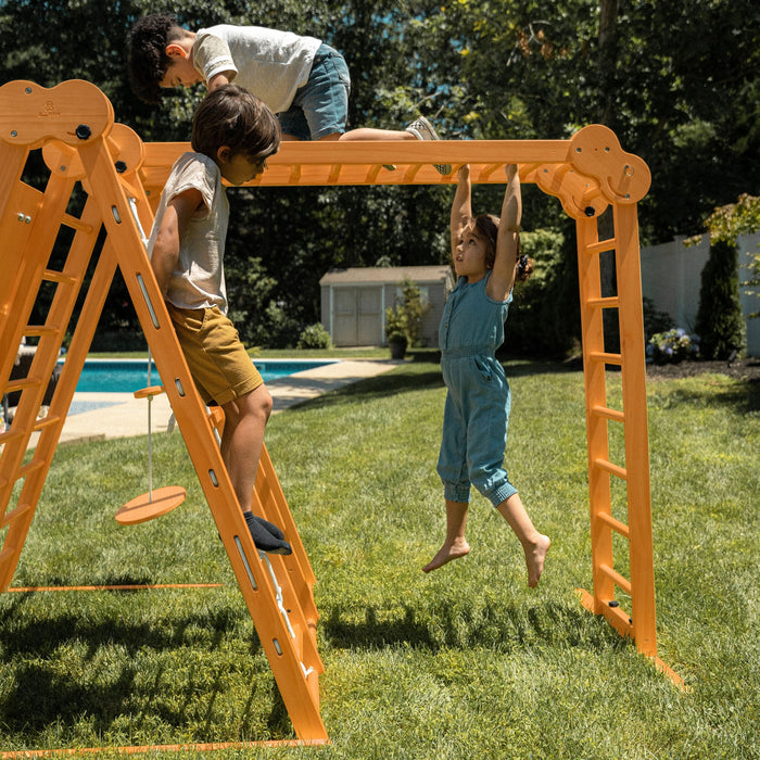 Avenlur Chestnut - 8-in-1 Indoor Jungle Gym for Toddlers