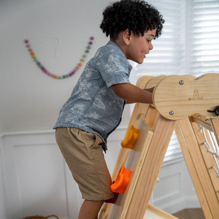 Avenlur Chestnut - 8-in-1 Indoor Jungle Gym for Toddlers